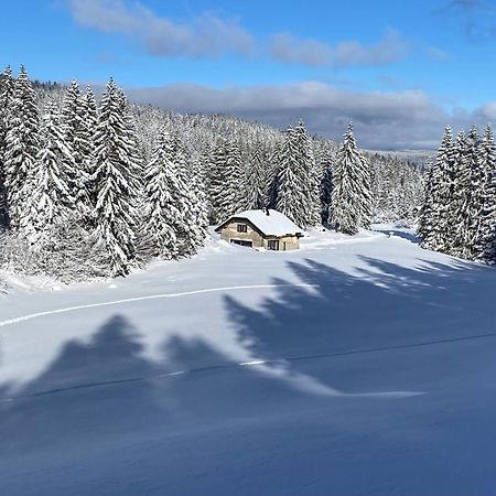 La Loge De La Dolarde - Chambre Nord-Est Hotel Prémanon Kültér fotó