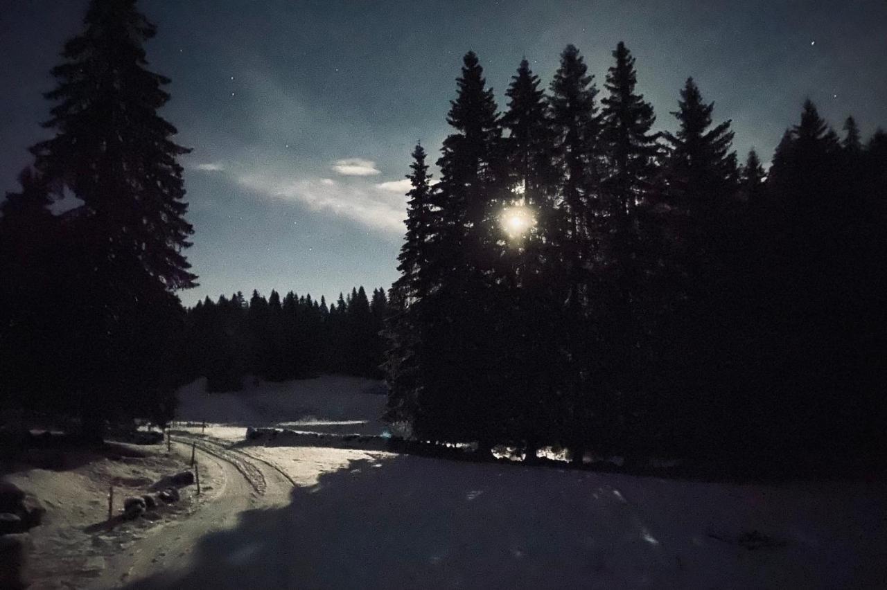 La Loge De La Dolarde - Chambre Nord-Est Hotel Prémanon Kültér fotó