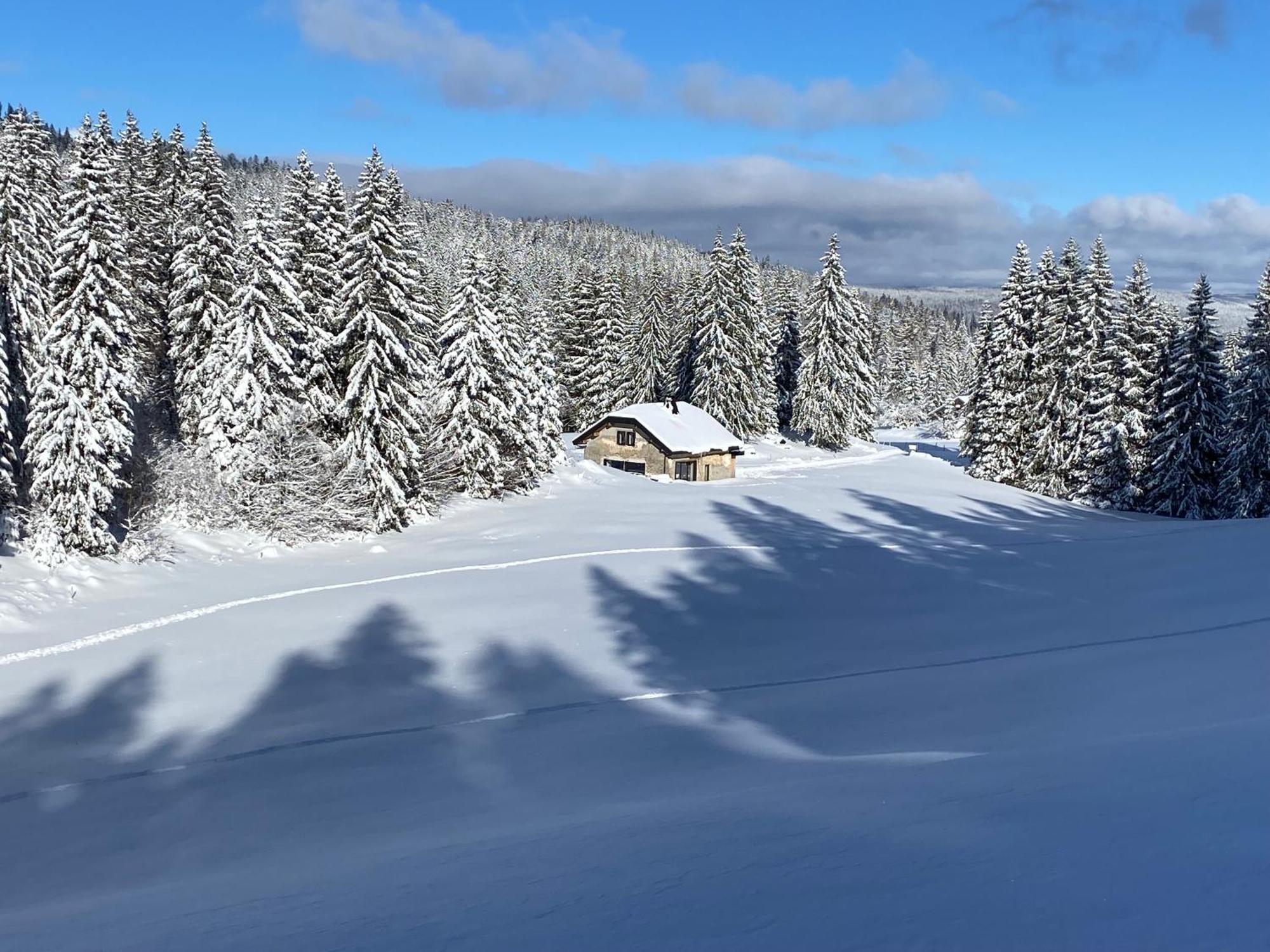 La Loge De La Dolarde - Chambre Nord-Est Hotel Prémanon Kültér fotó